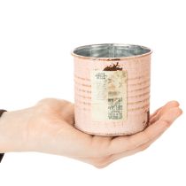 položky Květináč, dekorativní plechovka, vzor lososa, kovová dóza na bylinky, Ø8cm, V7,5cm