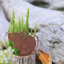 položky Dřevěný květináč s motivem kůry a myší rzi, výška 24 cm