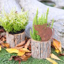 položky Dřevěný květináč s motivem kůry a myší rzi, výška 24 cm