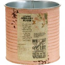 položky Květináč dekorační plechovka lososová kovová letní dekorace Ø11cm V10,5cm