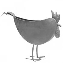 Květináč kuře kovový ptáček zinek kovová dekorace 51×16×37cm