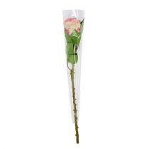 položky Taška na květiny nepotištěná L41cm Š3-12cm 50 ks