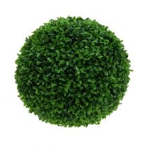 Buxusová koule zelená Ø30cm