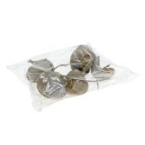 položky Buddha Nuts 8-10cm bílé vyprané 10 ks