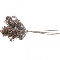 položky Umělé rostliny hnědá podzimní dekorace zimní dekorace Drylook 38cm 3 ks