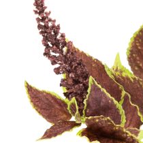 položky Umělý Coleus s červenými listy, umělá rostlina, 20 cm