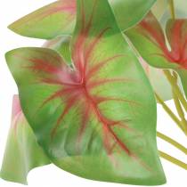 položky Umělá caladium šestilistá zeleno/růžová umělá rostlina jako skutečná!