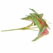 položky Umělá caladium šestilistá zeleno/růžová umělá rostlina jako skutečná!