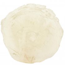 položky Capiz skořápky Capiz plátky perleťové plátky přírodní 7,5–9,5 cm 300g