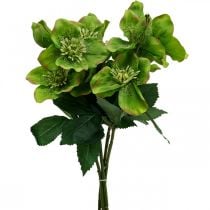 Vánoční růže Postní růže Čemeřice umělé květiny zelené L34cm 4ks