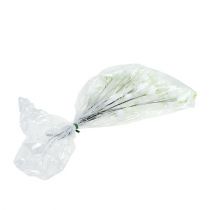 položky Vánoční růže na drátě bílá 50 ks