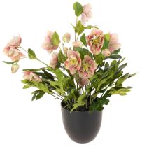 položky Umělá rostlina Helleborus v květináči, vánoční růže, pro domácí dekoraci, 50 cm