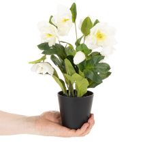 položky Umělá vánoční růže, květina v květináči, dekorace na stůl, 34 cm