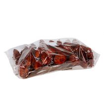 položky Compacta rozeta oranžová 40 ks