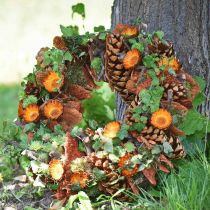 položky Šišky Pinus Maritima 10cm - 15cm Přírodní 3 ks