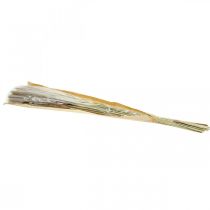 položky Sušené trávy Pampas tráva přírodní svazek 80 cm 100 g