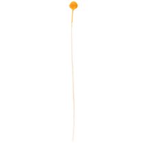 položky Kytice sušených květin Craspedia 55cm 20ks