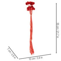 položky Sušené květy Craspedie, barvené, s dlouhými stonky, 55 cm, 20 kusů