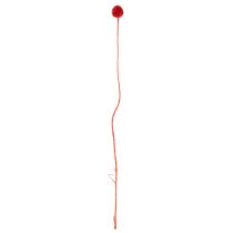 položky Sušené květy Craspedie, barvené, s dlouhými stonky, 55 cm, 20 kusů