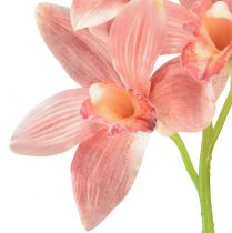 položky Cymbidium orchidej umělá 5 květů broskev 65cm