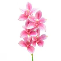 položky Cymbidium orchidej umělá 5 květů růžová 65cm