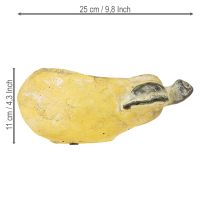 položky Dekorativní květináč na hrušky, podzimní betonový, 25×13×11 cm