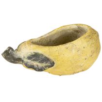 položky Dekorativní květináč na hrušky, podzimní betonový, 25×13×11 cm