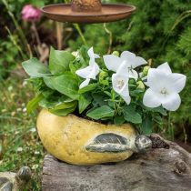 položky Dekorativní hruška, keramika na zdobení, podzim, květináč L25cm H11cm