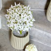 položky Dekorativní květina Allium, umělá kulička pórek, okrasná cibule bílá Ø20cm L72cm