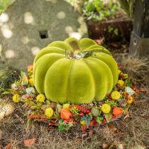 Dekorativní dýně mechově posetá zelená 32cm