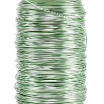 položky Deco smaltovaný drát mátově zelený Ø0,50mm 50m 100g