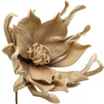 Deco lotosový květ umělý lotosový květ umělý květ béžový L68cm