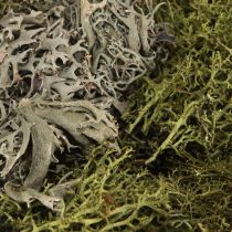 položky Dekorativní mech – pravý mech a lišejník pro květinové aranžmá 250g