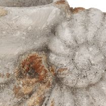 položky Dekorativní květináč s mušlí stone look 22,5x13,5x13,5cm