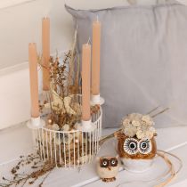 položky Dekorativní hvězdy, konopná rafie, 7,5 cm, vánoční ozdoby na stromeček, 8 kusů