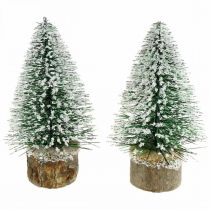 Vánoční dekorace, jedle deco, mini jedle zelená zasněžená V15cm Ø9,5cm 6ks