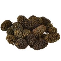 položky Dekorační šišky z olšového dřeva přírodní na zdobení 3-4 cm 200 g