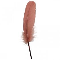Dekorativní peříčka pro ruční práce Tmavě růžové pravé ptačí peří 20g