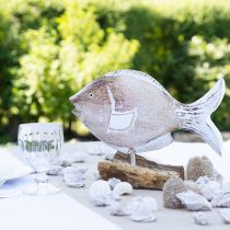 položky Dekorativní rybí dřevěný stojan na kořenovou námořní dekoraci 27cm