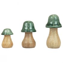 Dekorativní houby dřevěné houby tmavě zelené lesklé H6/8/10cm sada 3 ks