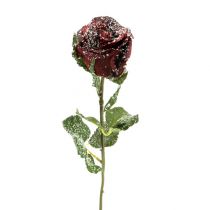 položky Deco růže zasněžená červená Ø6cm 6ks