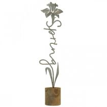 Kovová ozdobná květina dřevěný stojan nápis Spring 6x9,5x39,5cm