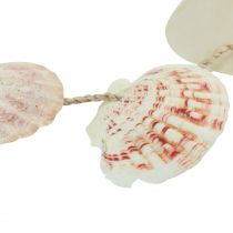 položky Dekorační věšák dekorace námořní mušle přírodní Ø5–10cm 70cm