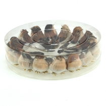 položky Dekorativní ptáčci 9cm na drátě 16 ks