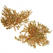 Deco větve bobule sušené konopí palma palma uva nature 1kg