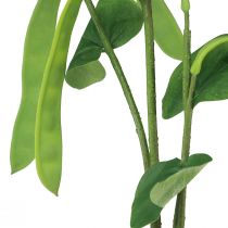položky Ozdobná větev fazolová větev umělá rostlina zelená 95cm