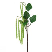 položky Ozdobná větev fazolová větev umělá rostlina zelená 68cm