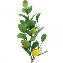 Dekorativní citronová větev s květy a plody V68cm