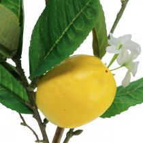 Dekorativní citronová větev s květy a plody V68cm