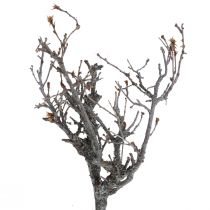 položky Deko větve bonsajové dřevo deko větve 15-30cm 650g